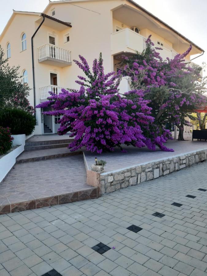 Apartments Zoran Povljana Extérieur photo